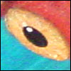 Thumb Squid